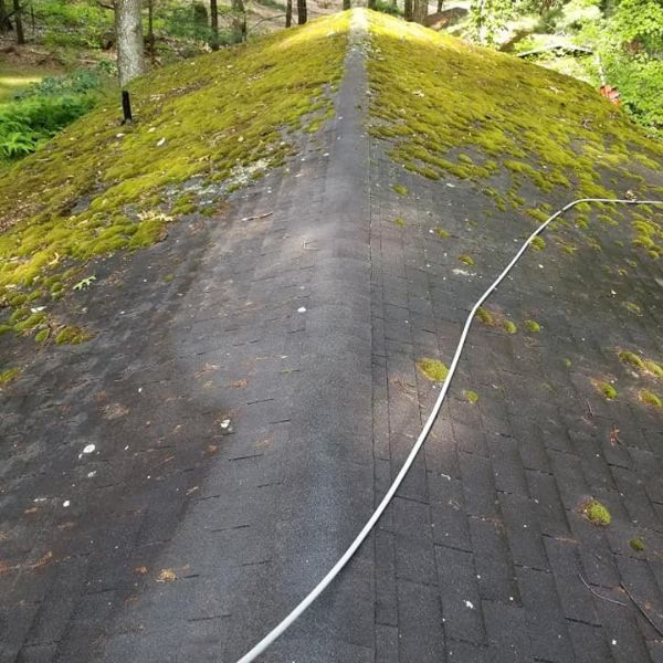The Best Roof Cleaning Service